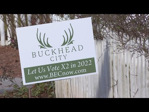 Buckhead City to introduce anti voter suppression team