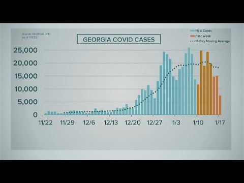 COVID-19 in Georgia | Cases appear to be leveling out
