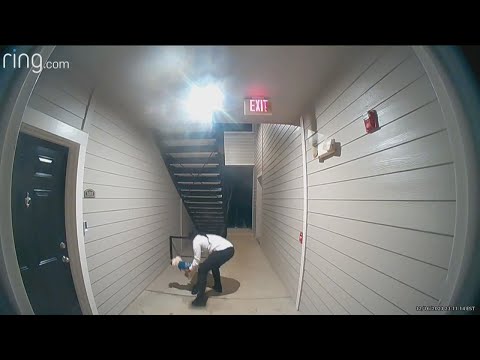 Doorbell camera catches Atlanta woman beating dog, reward offered