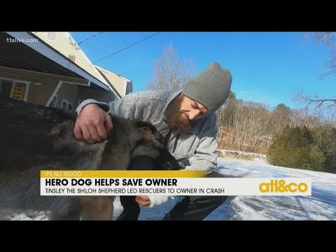 Hero Dog Helps Save Owner
