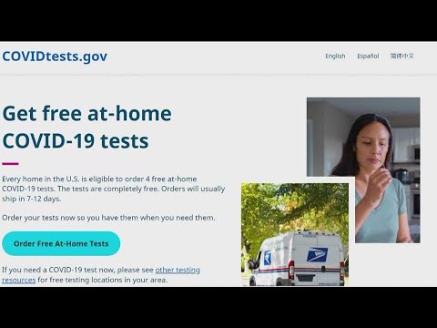 How to request free COVID tests from the government