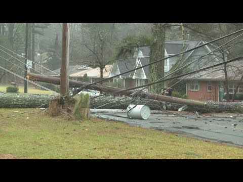 Massive tree takes down power lines in East Point