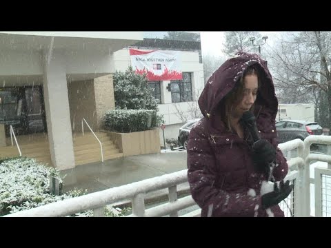 Meteorologist gets hit with snowball on live TV