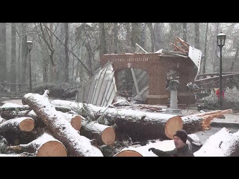 Strong winds bring down trees during winter storm