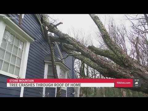 Tree falls on home, displaces family in DeKalb County