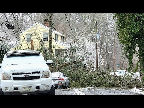 Winds taking down trees, powerlines