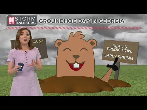 Conflicting weather reports on Groundhog's Day
