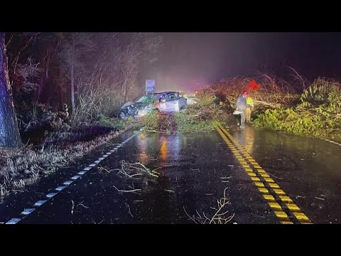 Roads reopen after downed trees, severe weather overnight in metro Atlanta