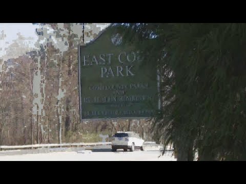 East Cobb cityhood plans advance