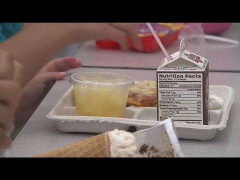 USDA offers new nutrition standards guidelines for school meals