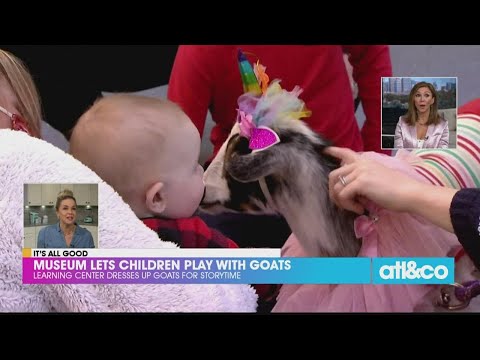 Museum Lets Children Play with Goats