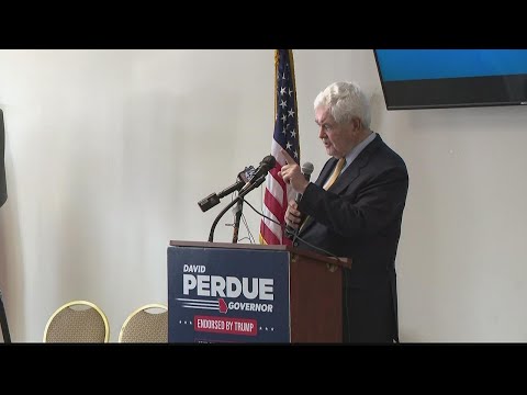 Newt Gingrich stumps for David Perdue in Georgia governor's race