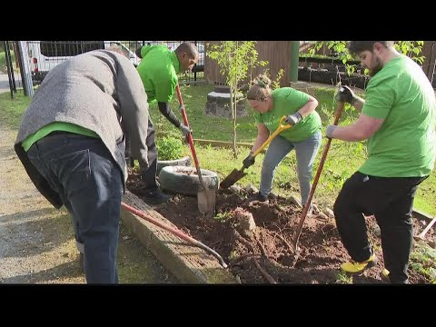 Publix volunteers in Atlanta to give back