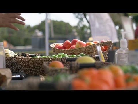 Georgia companies come together to address food insecurity