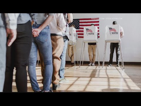 New voter registration decline in Georgia