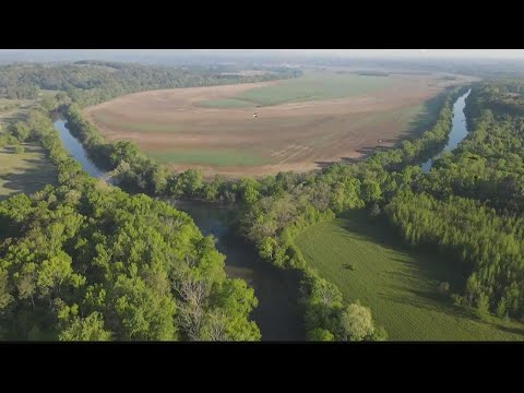 Science Buzz | Georgia river among 'most endangered' in country
