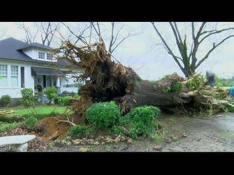 Severe storms leave damage across Georgia
