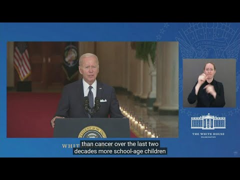 Biden appeals for tougher gun laws: 'How much more carnage?'