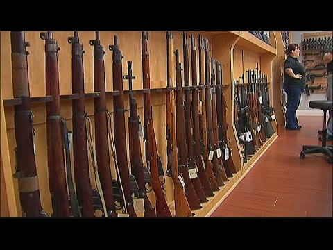 Federal, state efforts on gun reform