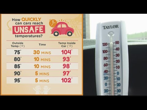 Hot car dangers as temps continue to rise