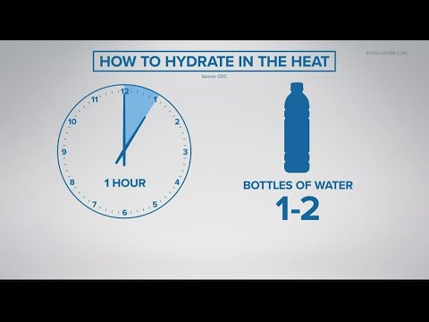 Hydrate in the heat | The science behind drinking water