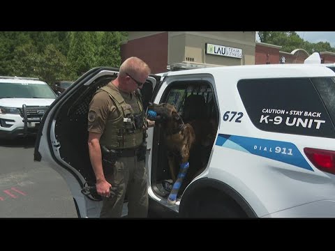 K-9 Kai released from vet after being shot twice