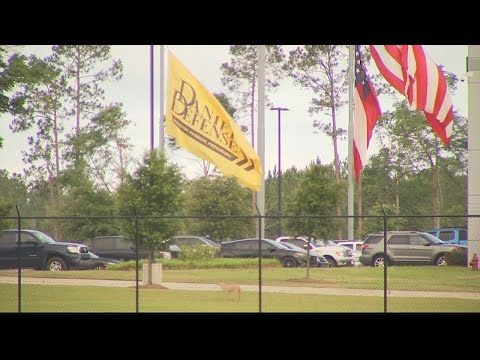 Georgia gun company will be at center of hearing on guns, mass shootings