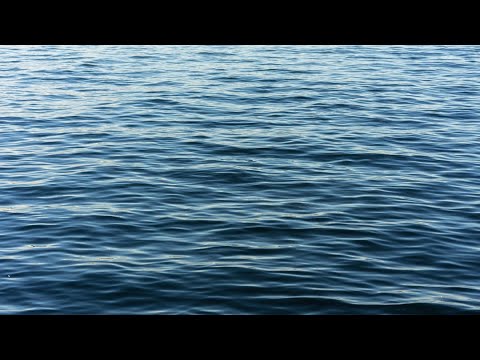 Man drowns on Lake Lanier, 1st major incident this holiday weekend