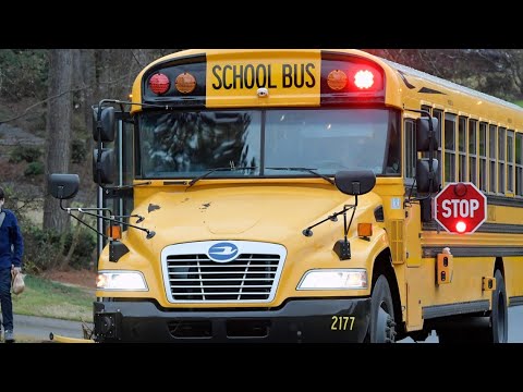 Officials: School bus driver arrested for DUI, crashes bus with children on board