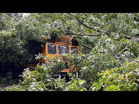 Children safe after massive tree falls on Atlanta school bus