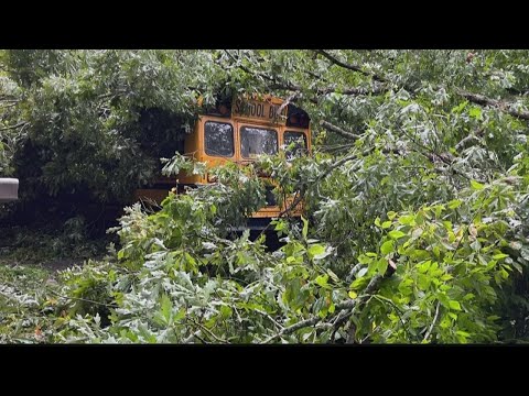Tree crashes on Atlanta school bus with children on board, officials say