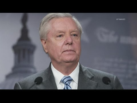 Sen. Lindsey Graham appeal in Georgia election probe