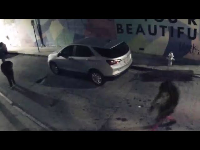 Atlanta Peters Street shots fired call |Surveillance