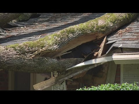 Hurricane Ian could threaten trees in metro-Atlanta