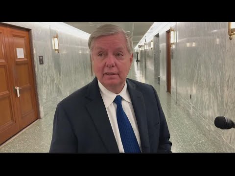 Judge denies Sen. Lindsey Graham's election probe appeal