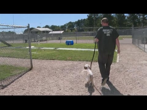 Program offers second chance to inmates, dogs