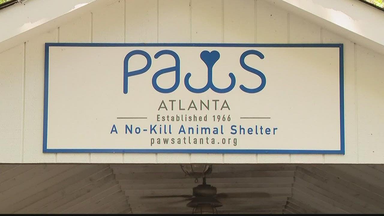 Three dogs stolen in PAWS Atlanta rescue shelter break-in