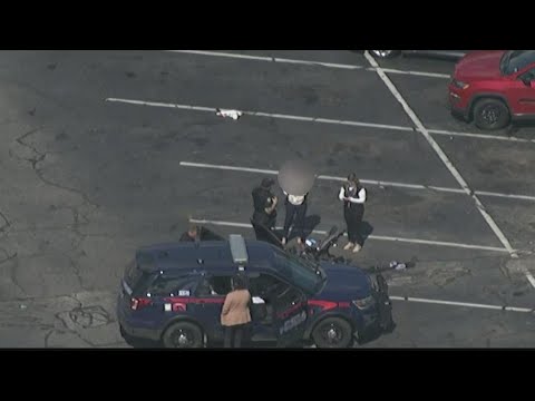 Dog, newborn rescued from car at Discount Mall in Atlanta, police say