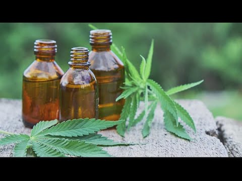 Georgia medical cannabis ruling | Judge pauses licenses for 2 companies