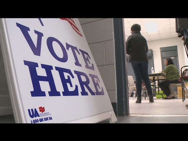 Georgia voters break early voting records