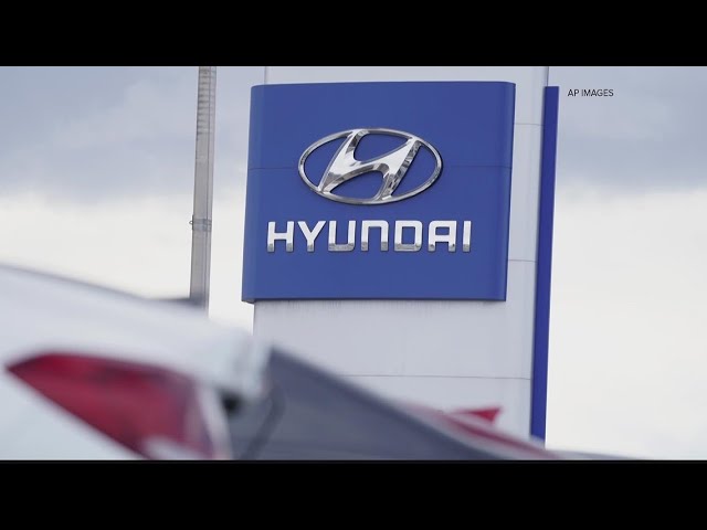 Hyundai brings EV plant in South Georgia