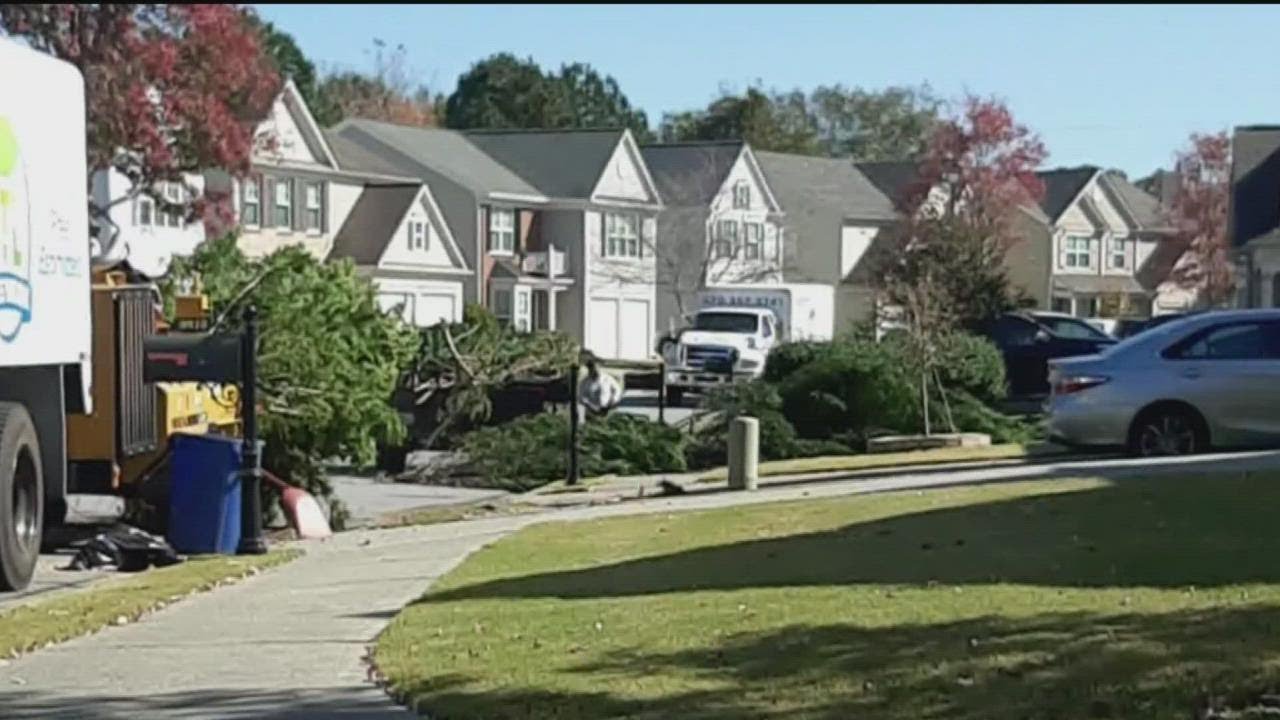 Suwanee homeowners in uproar after HOA required thousands spent in forced healthy tree removal