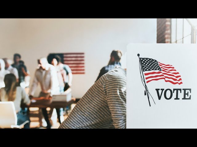 Emory college students pushing younger people to get out on 'Vote Early Day'