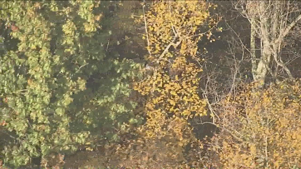 2 dead after plane crash on Big Creek Greenway in Alpharetta, police say
