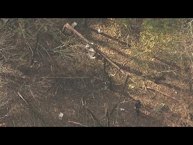 1 dead after plane crashes  on Big Creek Greenway in Alpharetta