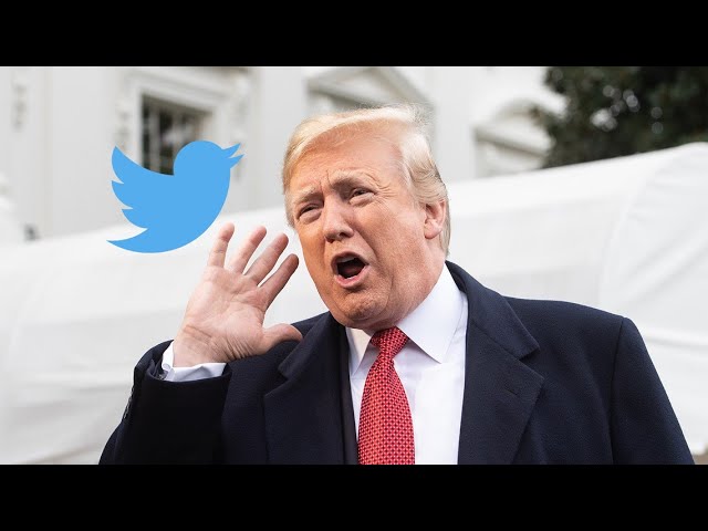 Donald Trump's Twitter account to be reactivated by Elon Musk