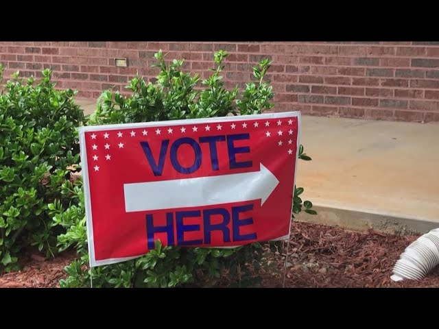 Early voting for Georgia Senate runoff | What to know