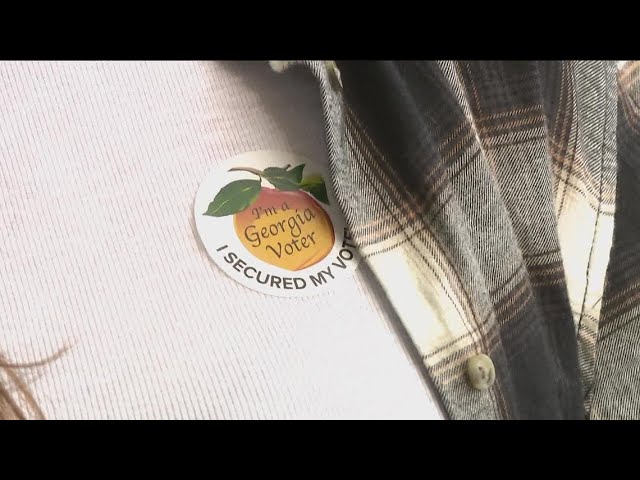Georgia midterm election | Candidates in state races