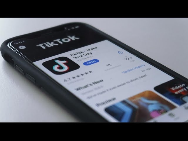 Official says U.S. should ban TikTok | Here's why