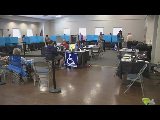 Voters with disabilities face unique challenges at the polls